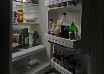 Cómo-eliminar-los-malos-olores-de-su-refrigerador-o-congelador